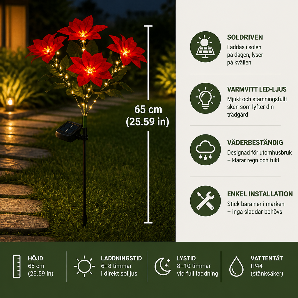 Soldrivna trädgårdslampor med röda julstjärneblommor