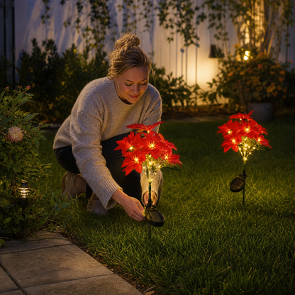 Soldrivna trädgårdslampor med röda julstjärneblommor
