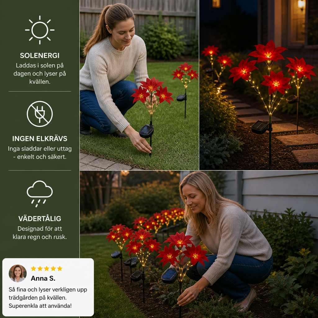 Soldrivna trädgårdslampor med röda julstjärneblommor