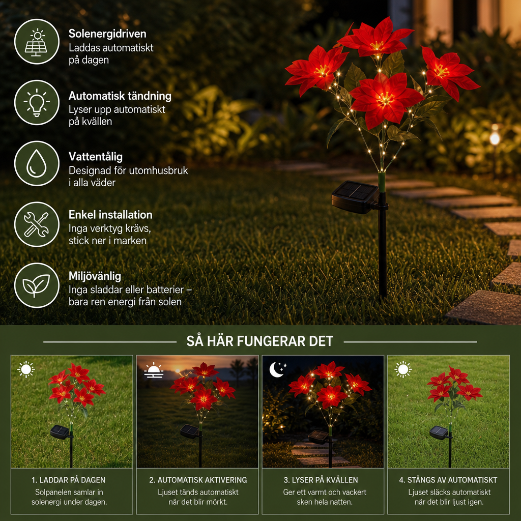 Soldrivna trädgårdslampor med röda julstjärneblommor