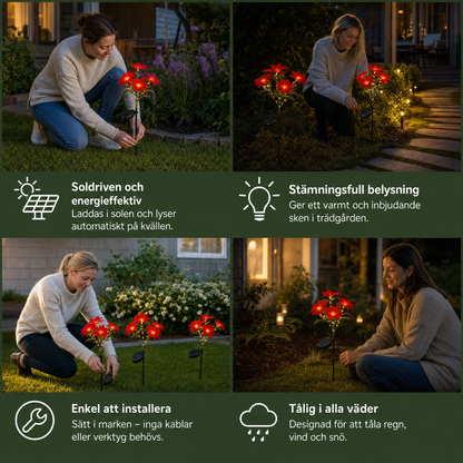 Soldrivna trädgårdslampor med röda julstjärneblommor